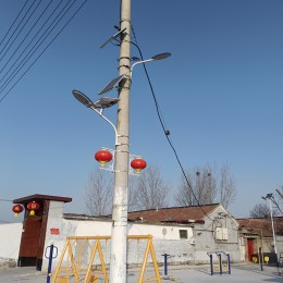 朱臺鎮(zhèn)*村太陽能路燈